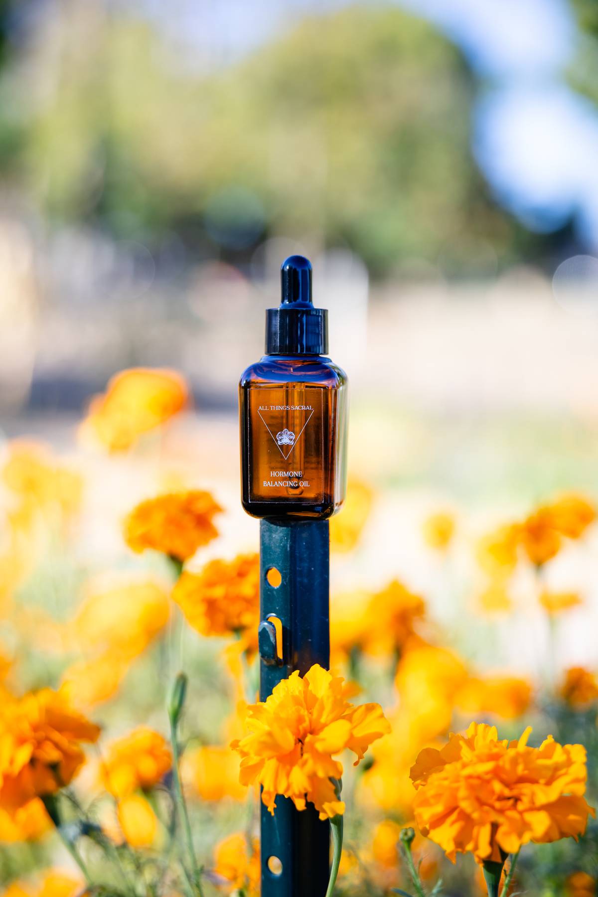 Hormone Balancing Oil